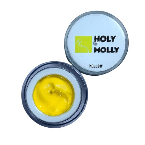 Paint Gel Holy Molly Yellow 5g
